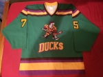 D5 Ducks Front